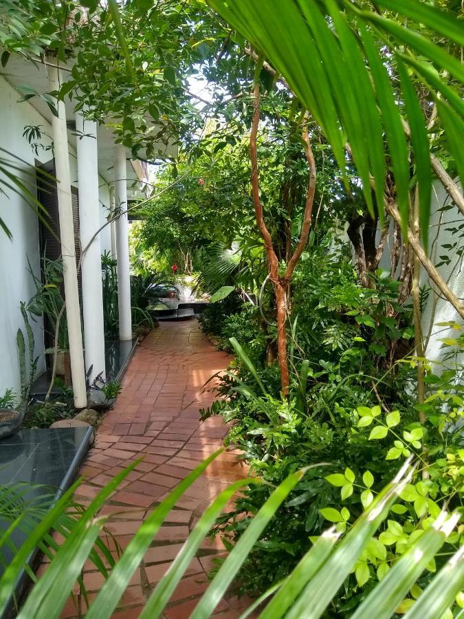 Guesthouse Mata Da Praia Vitória Zewnętrze zdjęcie