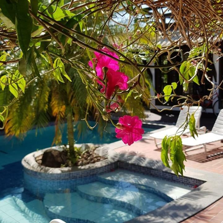 Guesthouse Mata Da Praia Vitória Zewnętrze zdjęcie
